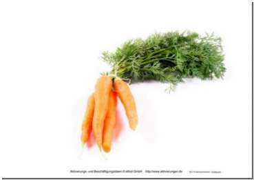 Bildkarten Gemüse & Knollen