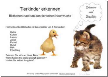Bildkarten von Tierkindern