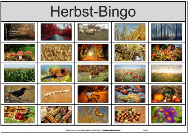 Beschreibung, Spielregeln und Spielanleitung für Bilder-Bingo-Spiele