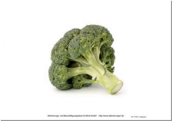Bildkarten Gemüse & Knollen