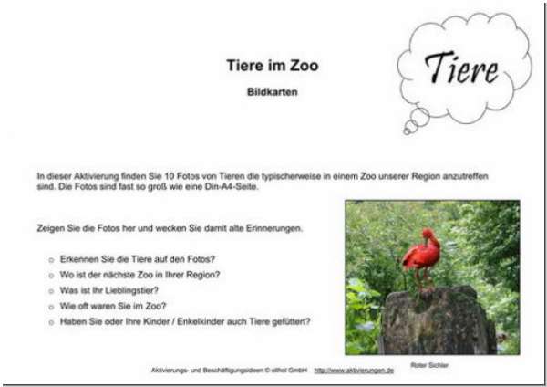 Bildkarten Tiere im Zoo