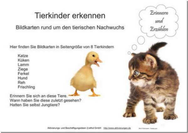 Bildkarten von Tierkindern